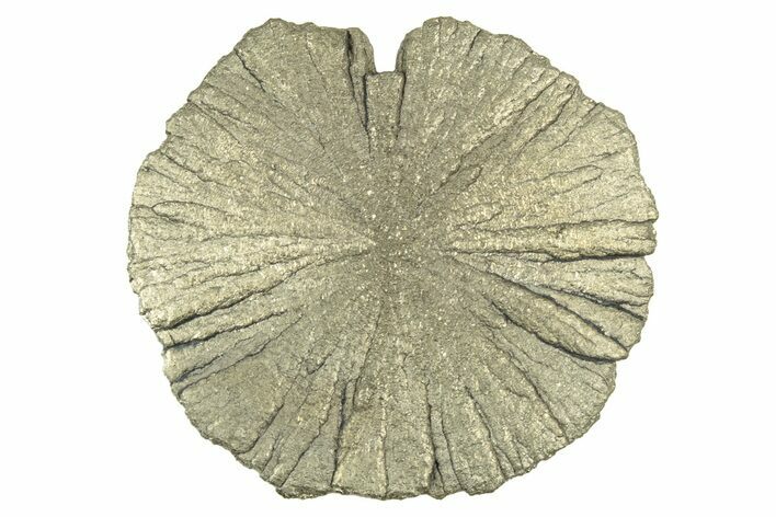 Radiant Pyrite Sun - Sparta, Illinois #342593